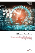 AI Beyond Black Boxes