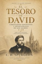 El Tesoro de David - Volumen 1