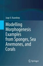 Modelling Morphogenesis Examples from Sponges, Sea Anemones, and Corals