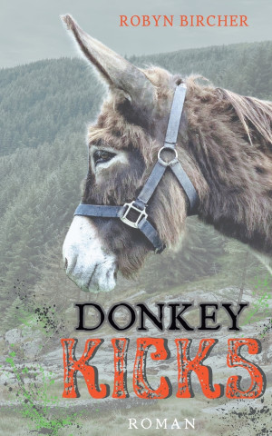 Donkey Kicks