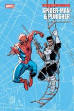 Spider-Man & Punisher. Web of heroes collection