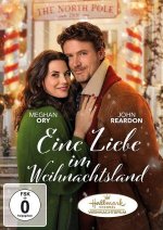 Eine Liebe im Weihnachtsland