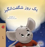 A Wonderful Day (Farsi Children's Book)