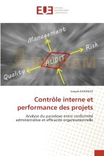 Contrôle interne et performance des projets