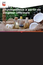 Nanoparticules d'argent issues de la phytosynthèse à partir de Zingiber officinale