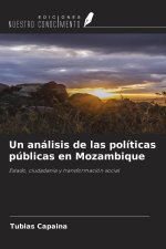 Un análisis de las políticas públicas en Mozambique