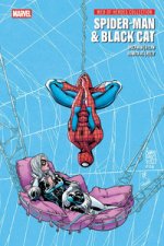 Spider-Man & Black Cat. Web of heroes collection
