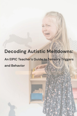 Decoding Autistic Meltdowns