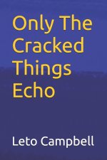 Only The Cracked Things Echo