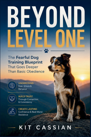 Beyond Level One