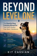 Beyond Level One