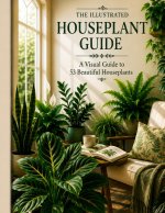 The Illustrated Houseplant Guide