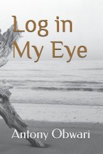 Log in My Eye