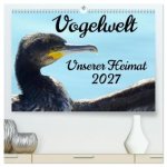 Vogelwelt unserer Heimat (hochwertiger Premium Wandkalender 2027 DIN A2 quer), Kunstdruck in Hochglanz