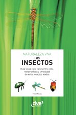 Los insectos