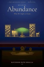 Building Abundance