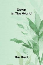Down in the World