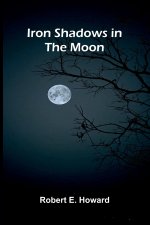 Iron Shadows in the Moon