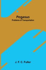Pegasus