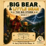 THE BIG STORM