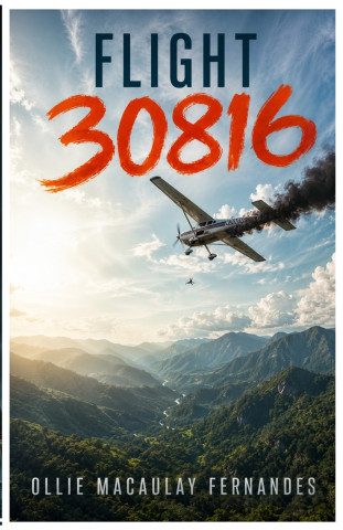 Flight 30816