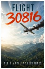 Flight 30816