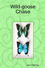 Wild-goose Chase