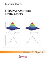 Nonparametric estimation