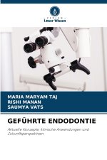 GEFÜHRTE ENDODONTIE