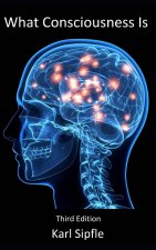 What Consciousness Is