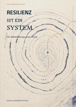Resilienz ist ein System