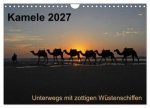 Kamele 2027 - Unterwegs mit zottigen Wüstenschiffen (Wandkalender 2027 DIN A4 quer), CALVENDO Monatskalender