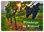 Weinberge im Remstal (Wandkalender 2027 DIN A4 quer), CALVENDO Monatskalender