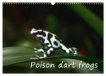 Poison dart frogs / UK-Version / Birthday Calendar (Wall Calendar 2027 DIN A3 landscape), CALVENDO 12 Month Wall Calendar