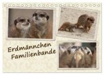 Erdmännchen Familienbande (Tischkalender 2027 DIN A5 quer), CALVENDO Monatskalender