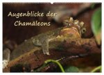 Augenblicke der Chamäleons (Wandkalender 2027 DIN A2 quer), CALVENDO Monatskalender