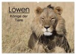 Löwen - Könige der Tiere (Wandkalender 2027 DIN A2 quer), CALVENDO Monatskalender