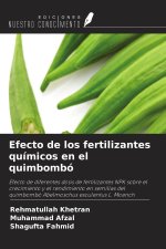 Efecto de los fertilizantes químicos en el quimbombó