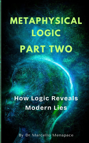 Metaphysical Logic 2