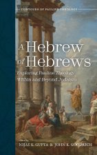 A Hebrew of Hebrews