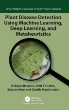 Plant Disease Detection Using Machine Learning, Deep Learning, and Metaheuristics