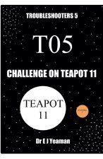 Challenge on Teapot 11