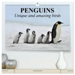 Penguins Unique and amazing birds (High Quality Premium Wall Calendar 2027 DIN A2 landscape),CALVENDO 12 Month Wall Calendar