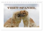 Tibet-Spaniel (Tischkalender 2027 DIN A5 quer), CALVENDO Monatskalender