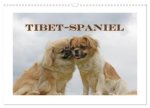 Tibet-Spaniel (Wandkalender 2027 DIN A3 quer), CALVENDO Monatskalender