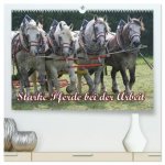 Starke Pferde bei der Arbeit (hochwertiger Premium Wandkalender 2027 DIN A2 quer), Kunstdruck in Hochglanz