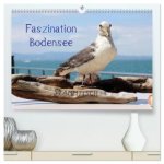 Faszination Bodensee (hochwertiger Premium Wandkalender 2027 DIN A2 quer), Kunstdruck in Hochglanz
