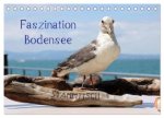 Faszination Bodensee (Tischkalender 2027 DIN A5 quer), CALVENDO Monatskalender