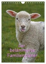 Der belämmerte Familienplaner (Wandkalender 2027 DIN A4 hoch), CALVENDO Monatskalender
