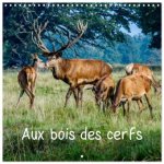 Aux bois des cerfs (Calendrier mural carré 2027 30x30 cm) Calendrier double avec une page pour vos prises de notes